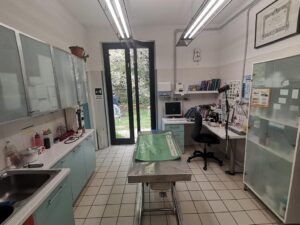 ambulatorio