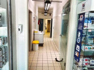 clinica-veterinaria-tuscia-11