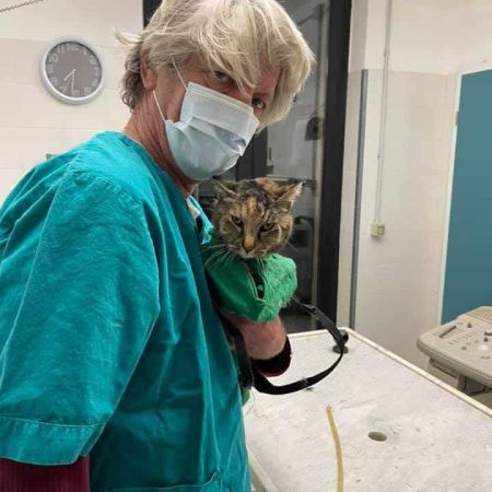 clinica-veterinaria-della-tuscia-10.jpeg